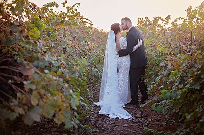 Vineyard wedding kiss sunset